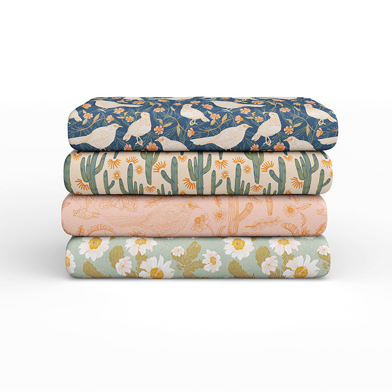 Saguaro Searching Saltgrass