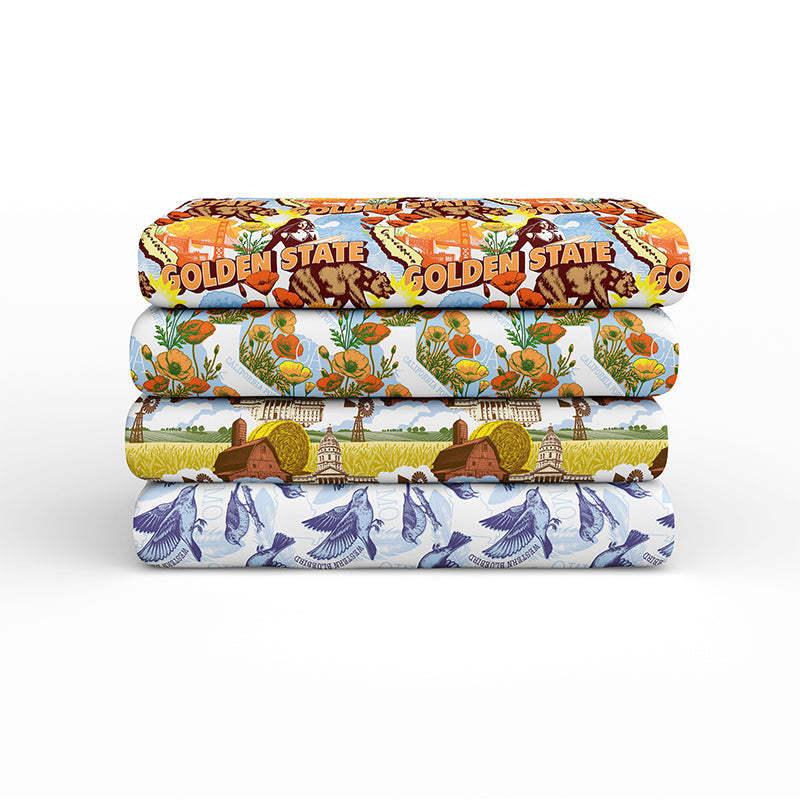 State Spirit by PBS Fabrics