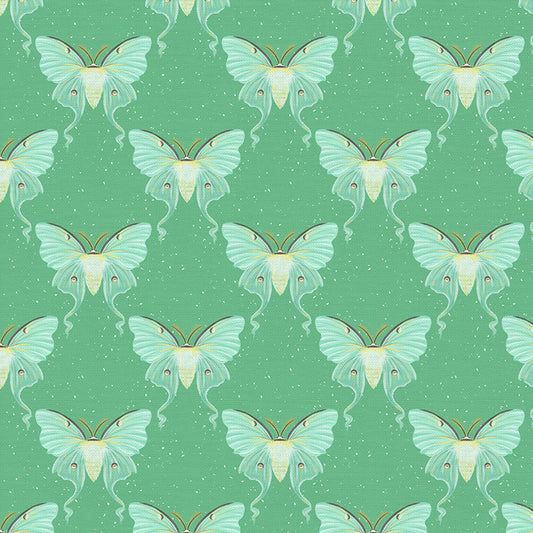 Moths - Green