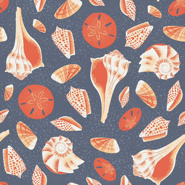 Seashells - Orange