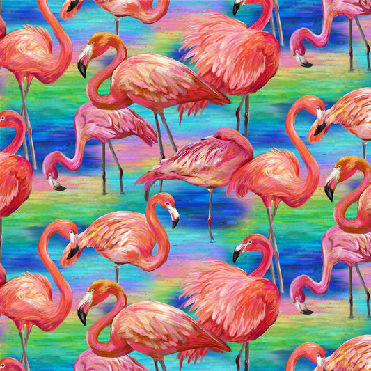 Fabulous Flamingos