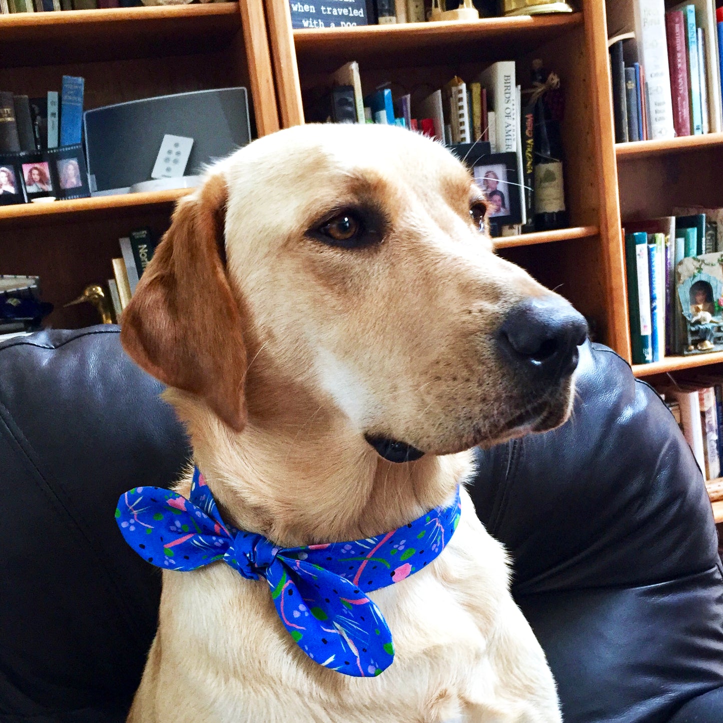 Free Headband Pattern