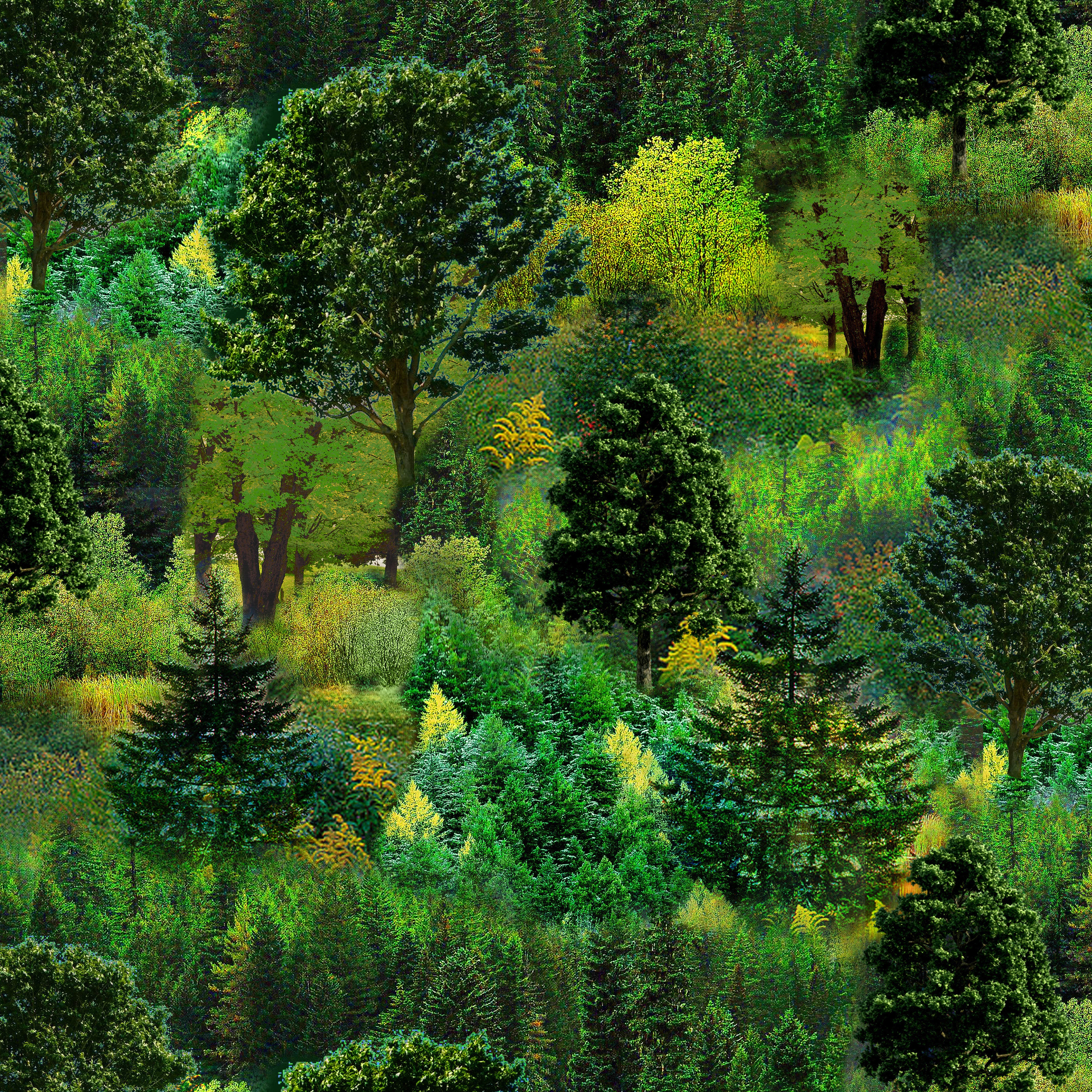 Mountain View by Ro Gregg