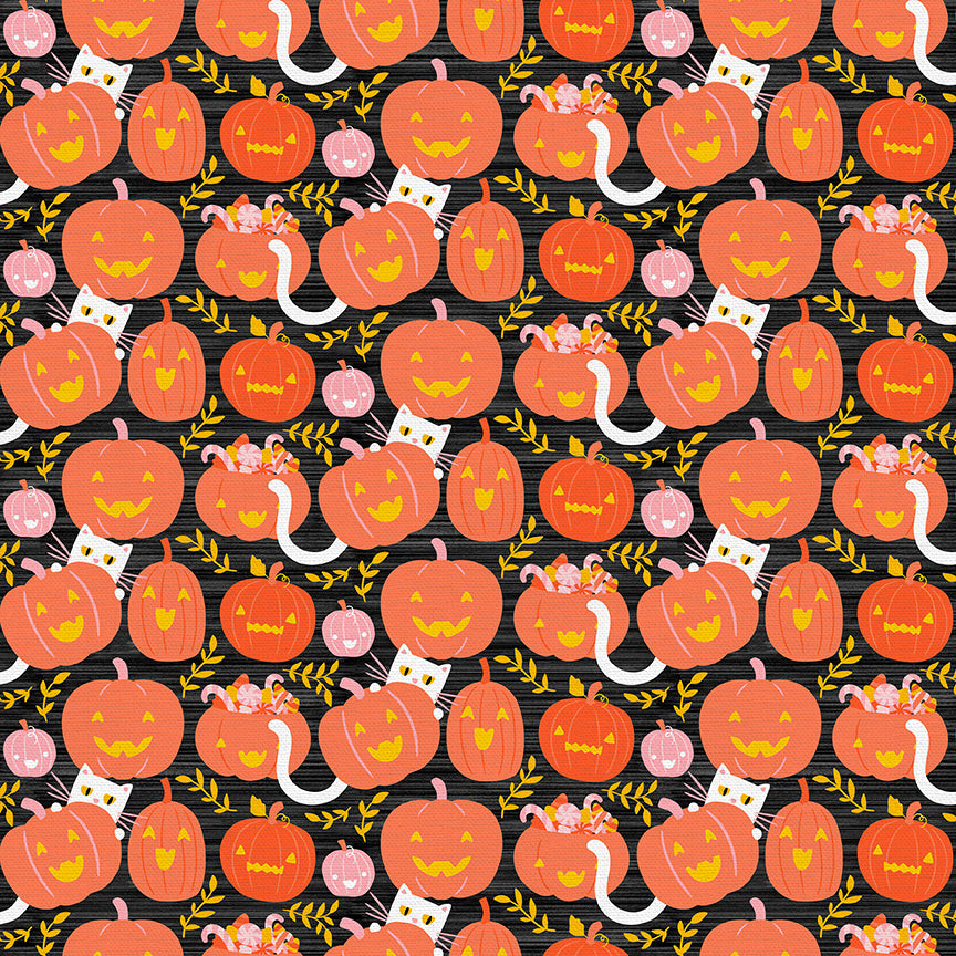Pumpkin Cats - Black