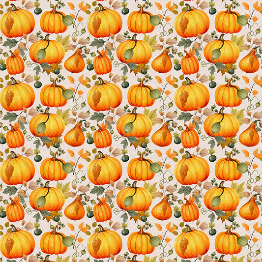 Pumpkin Field