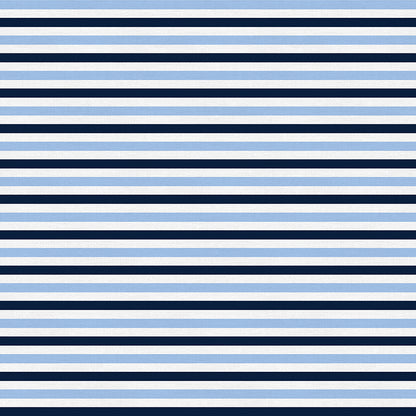 Stripe - Blue/White