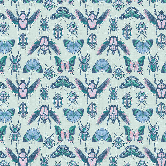Emperor of India - Blue/Pink