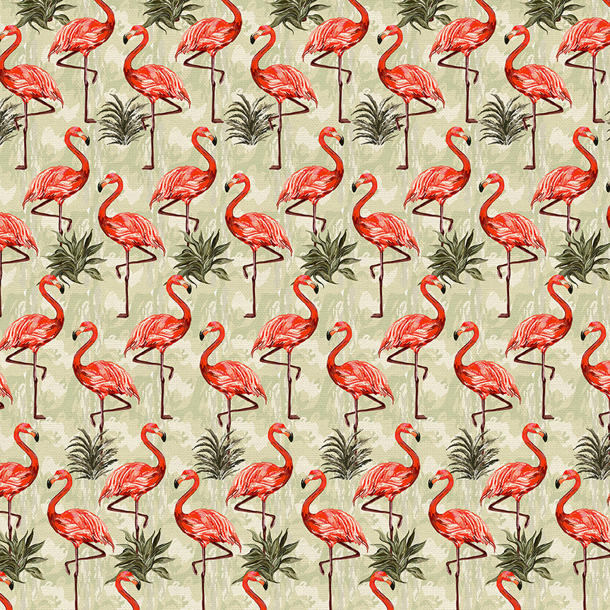 Flamingos