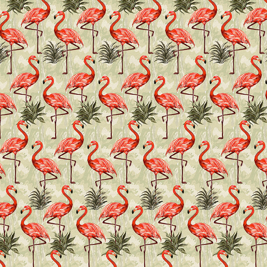 Flamingos