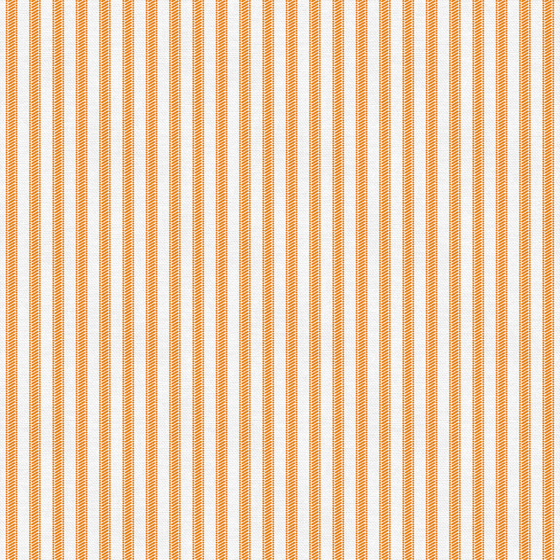Tailored Ticking - Orange