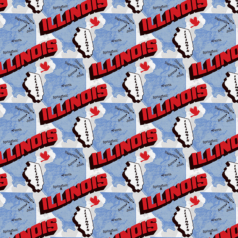 State Map - Illinois