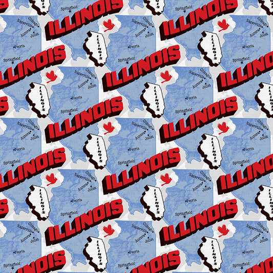 State Map - Illinois