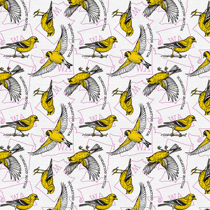 State Birds - Washington