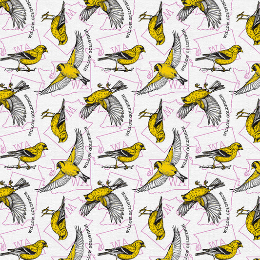 State Birds - Washington
