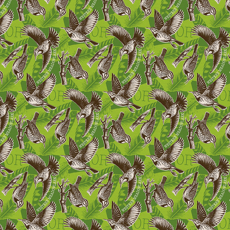 State Birds - Oregon