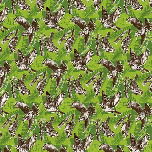 State Birds - Oregon