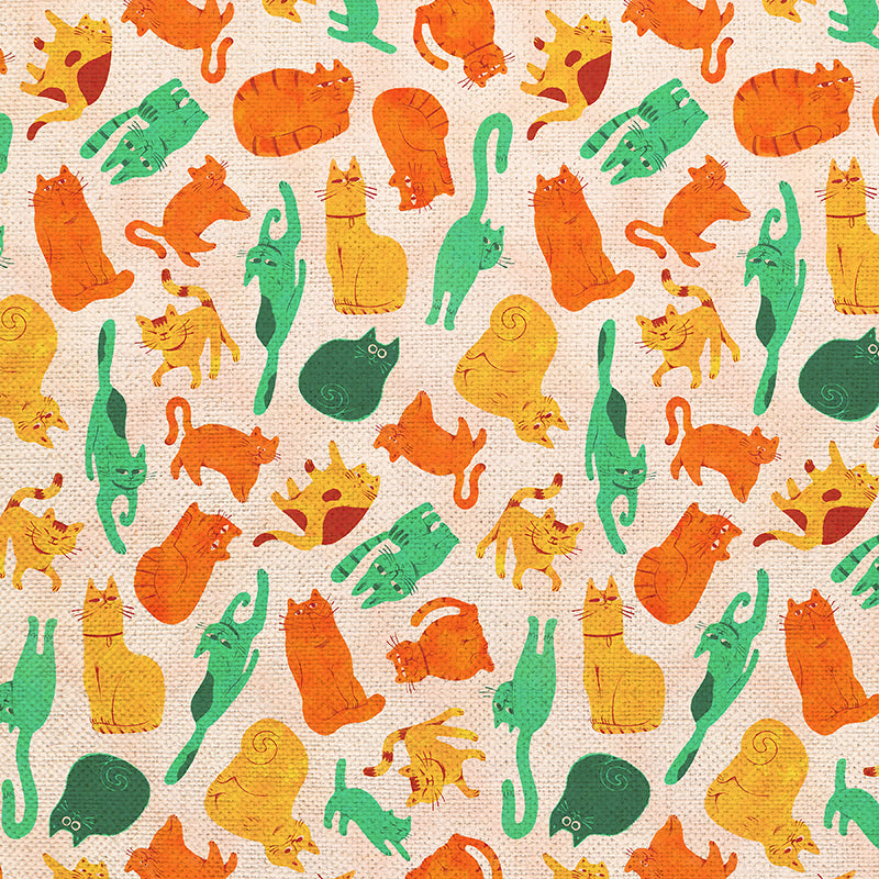 Feline Frenzy