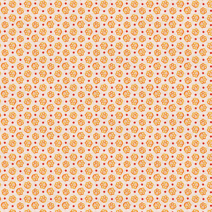 Cat Paws - Orange