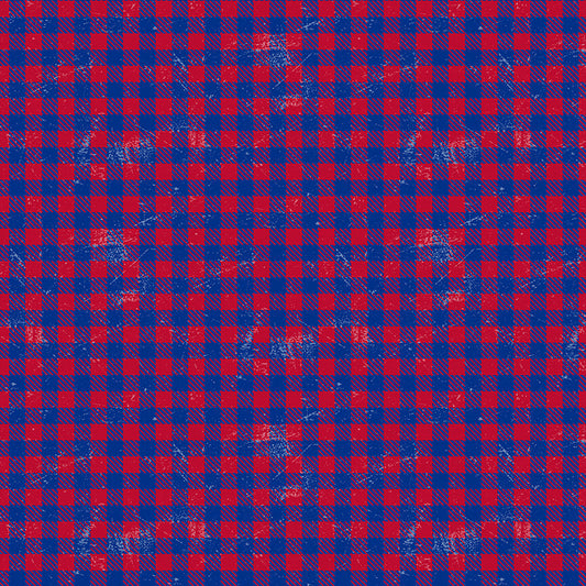 Buffalo Check