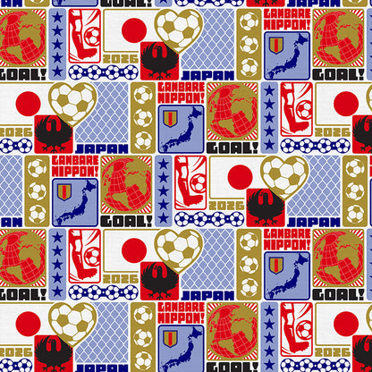 Japan Soccer