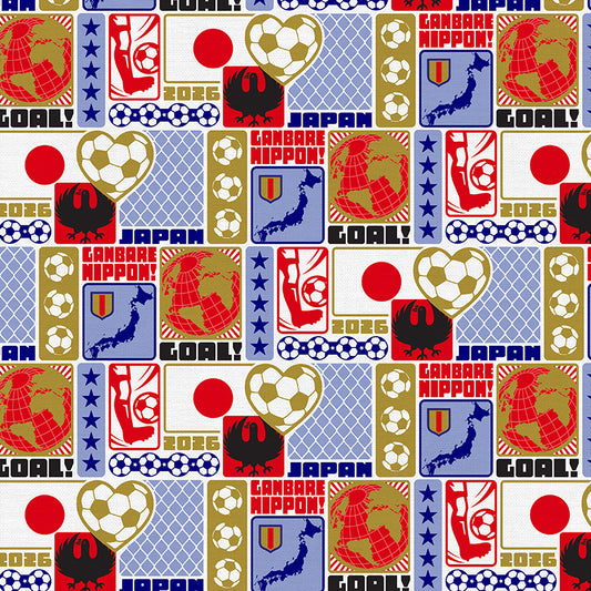 Japan Soccer