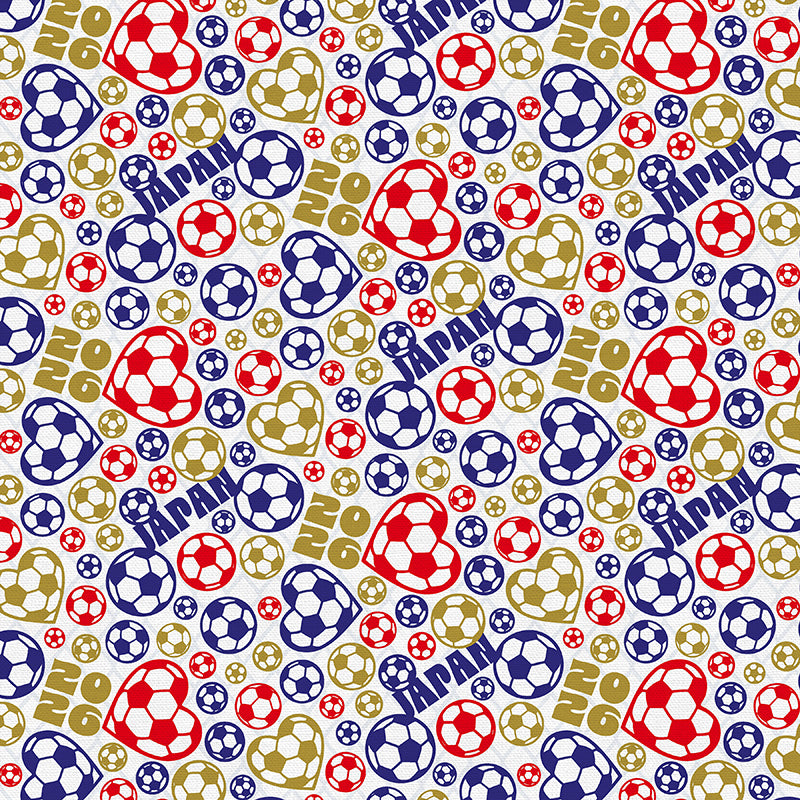 Japan Soccer Ball Toss