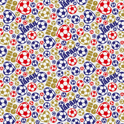 Japan Soccer Ball Toss