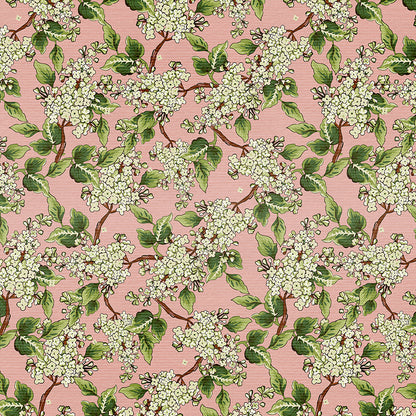 Hydrangea Dreams - Pink