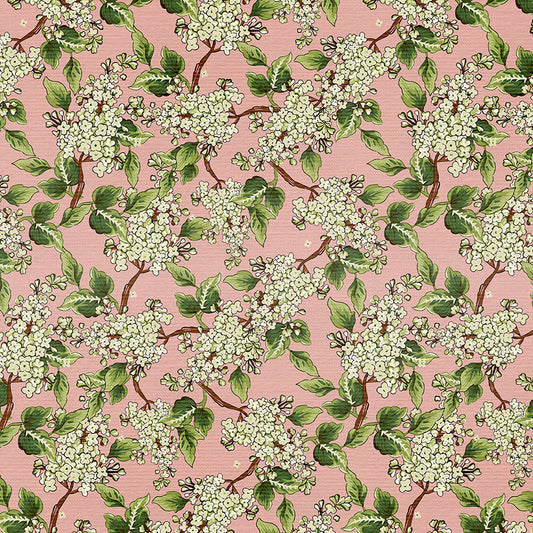 Hydrangea Dreams - Pink