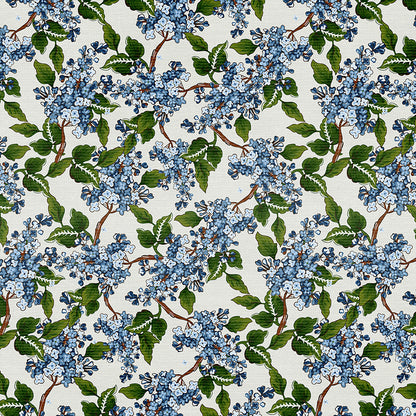 Hydrangea Dreams - White/Blue
