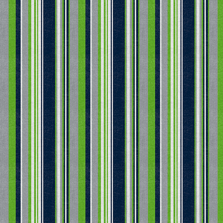 Seattle Spirit Stripe