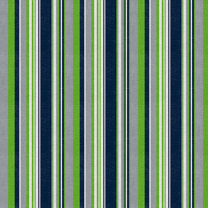 Seattle Spirit Stripe