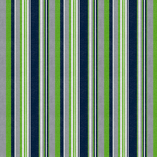 Seattle Spirit Stripe