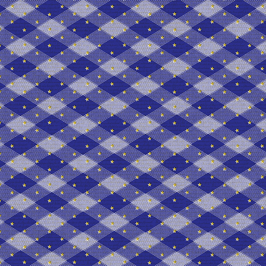 Gingham Stars - Blue