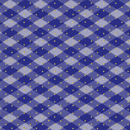 Gingham Stars - Blue