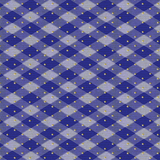Gingham Stars - Blue