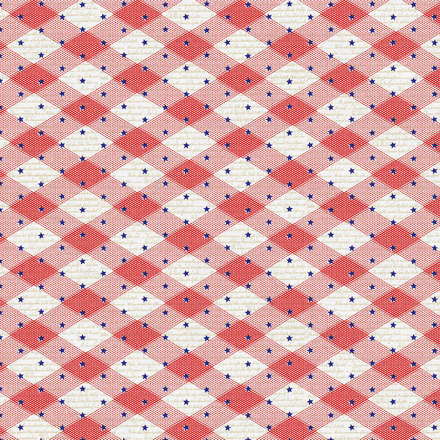Gingham Stars - Red