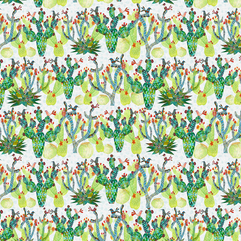 Cacti