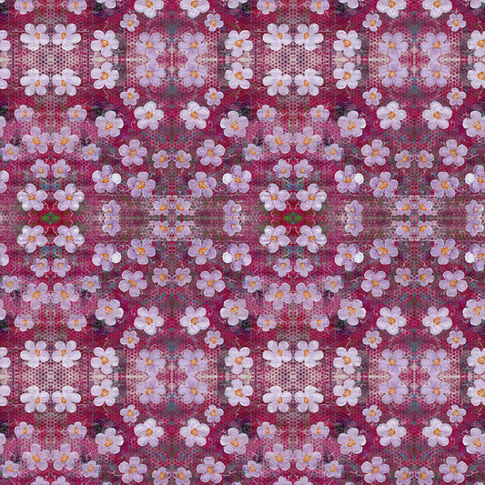 Periwinkle