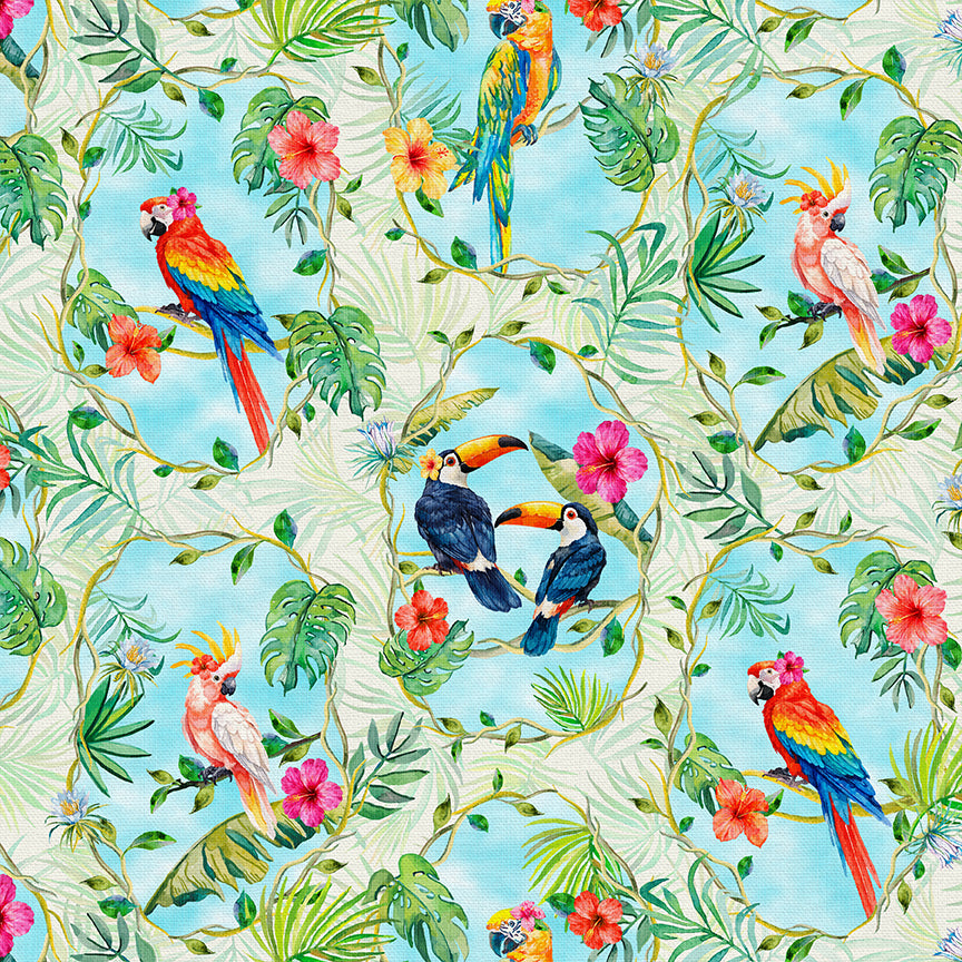 Bird Frames
