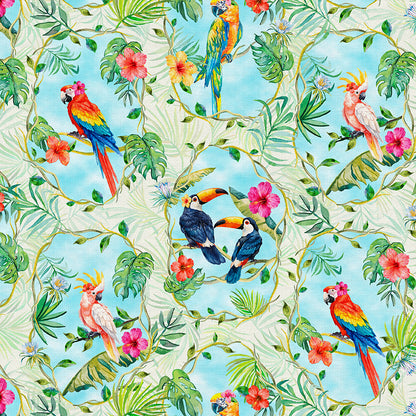Bird Frames