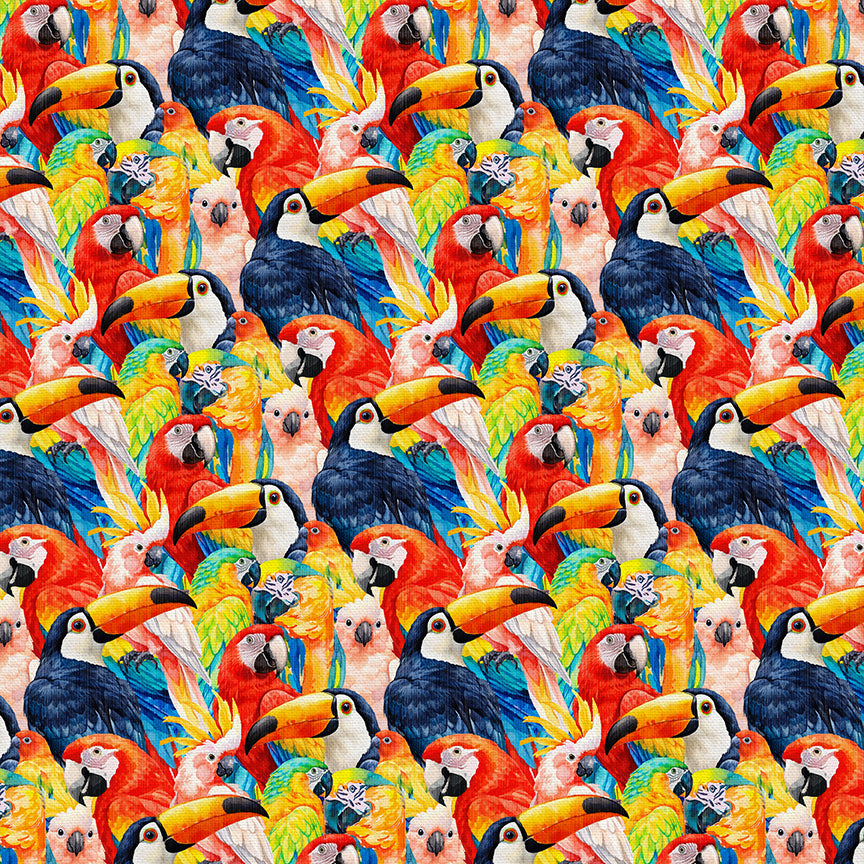 Bird Faces