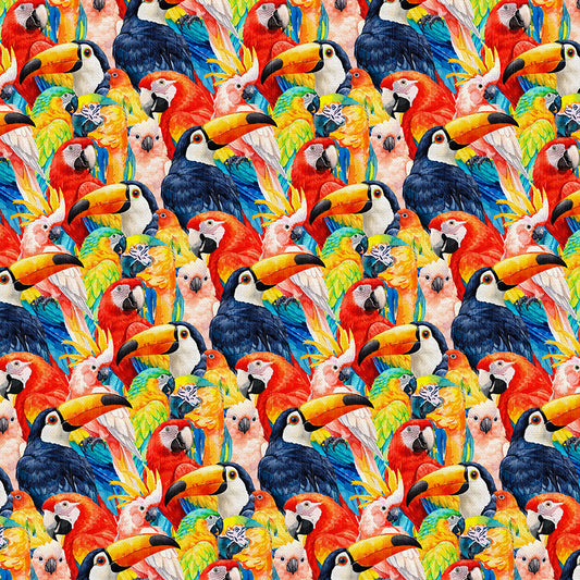 Bird Faces