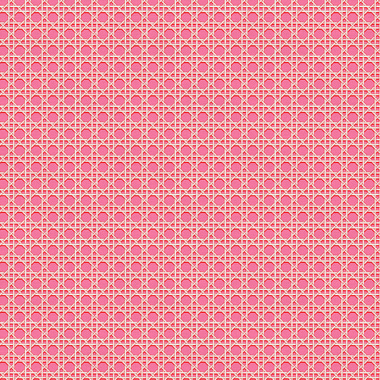Cane - Pink/Red