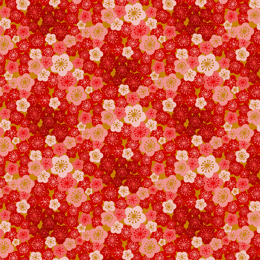 Cherry Blossom Blooms