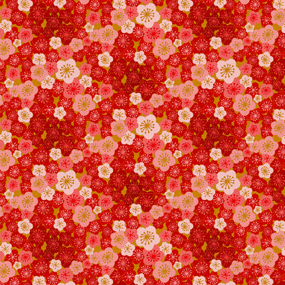 Cherry Blossom Blooms