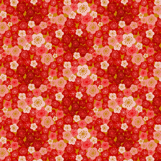 Cherry Blossom Blooms