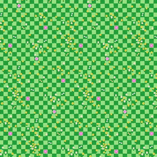 Checkers - Green