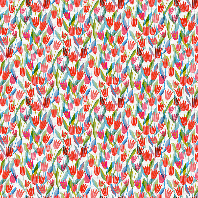 Field of Tulips
