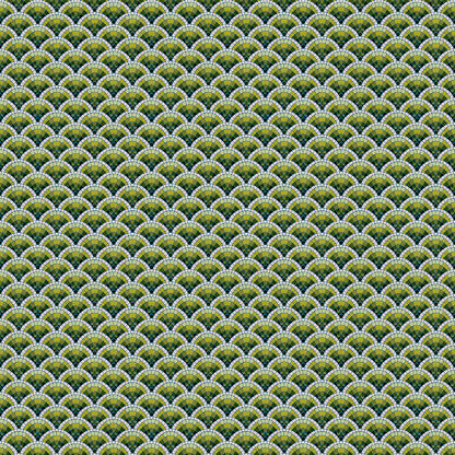 Scallop - Green